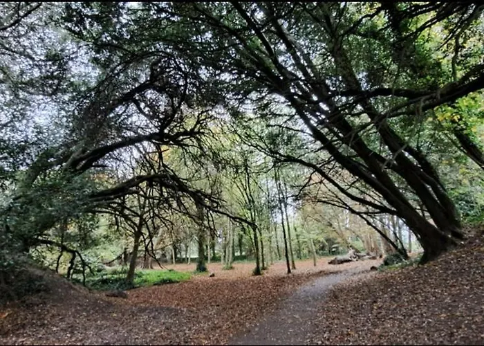 Apartman Coastal Dublin